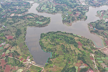 四川資陽市雁江區(qū)滴水巖水庫水體修復技術(shù)服務(wù)項目