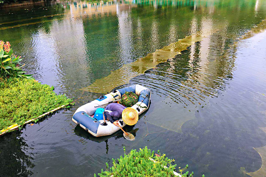 廣東省深圳市辛養(yǎng)魚塘-<a href=http://zfojg.cn target=_blank class=infotextkey>水生態(tài)修復(fù)</a>示范項目