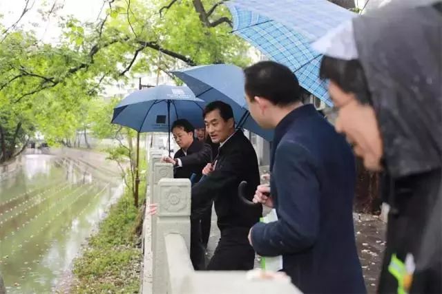 雙良“石墨烯可見光催化技術”引起各地廣泛關注