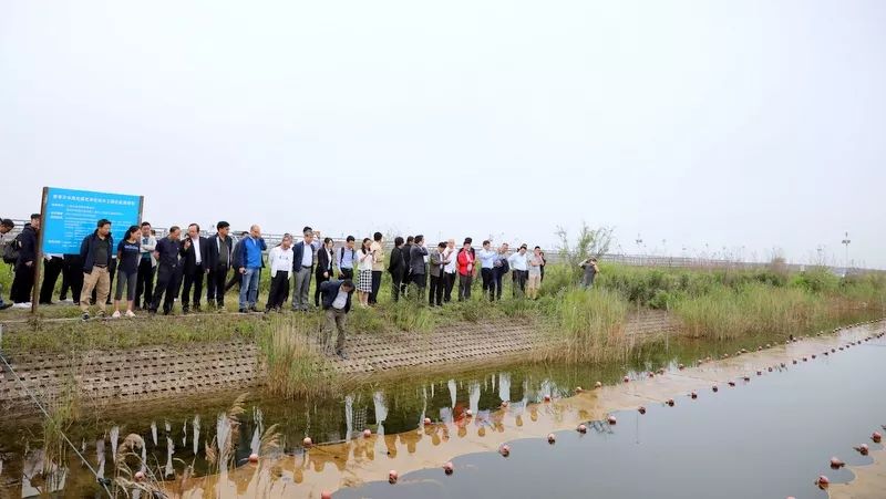 中國第一大城市飲用水<a href=http://zfojg.cn/yysyd/ target=_blank class=infotextkey>水源地治理</a>技術(shù)突破