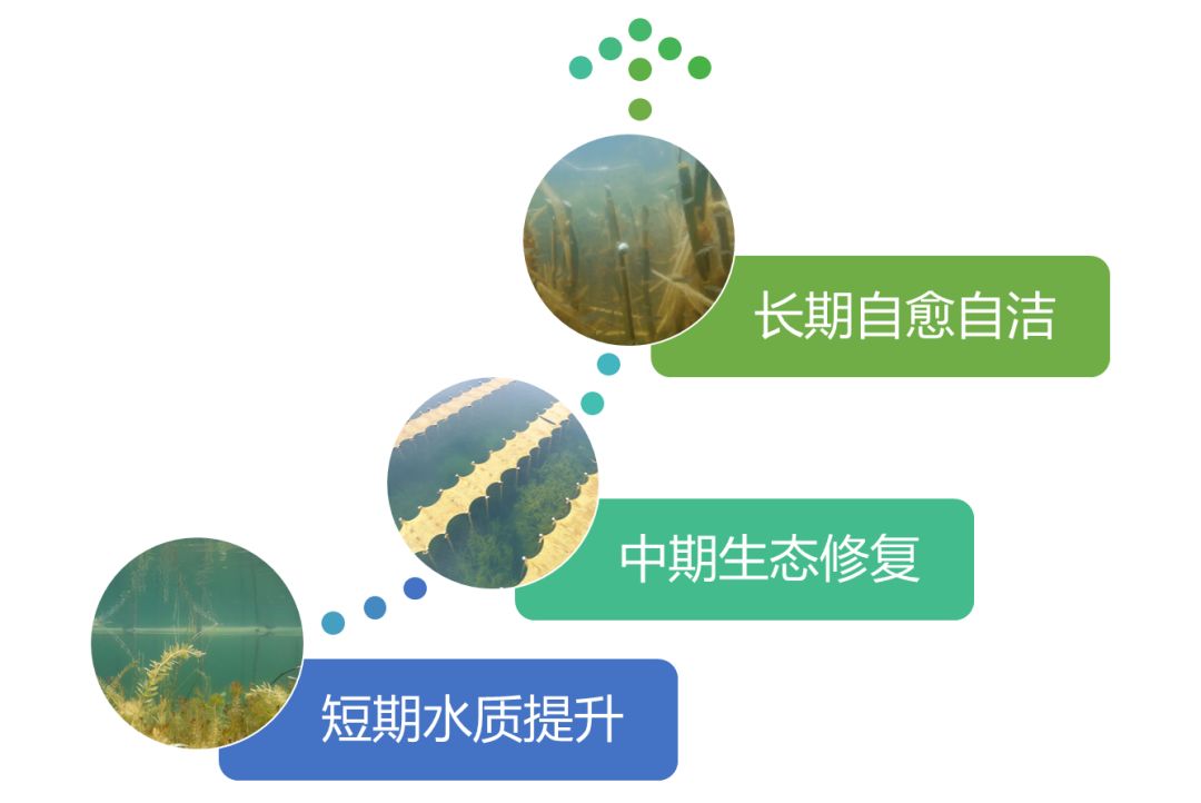 2020<a href=http://zfojg.cn target=_blank class=infotextkey><a href=http://zfojg.cn target=_blank class=infotextkey>雙良</a>環(huán)境</a>春招開啟