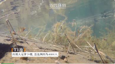 新聞轉(zhuǎn)載｜河道治理|五管齊下，提升塘西河水環(huán)境質(zhì)量