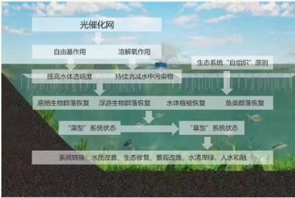 新聞轉(zhuǎn)載｜加強(qiáng)水環(huán)境治理，大英對河道兩岸亂墾亂種現(xiàn)象進(jìn)行集中清理...