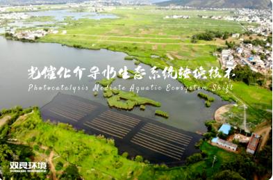 雙良河道水環(huán)境治理及長效管護