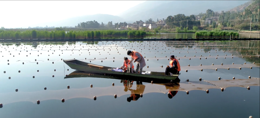 巡河并調(diào)研病險水庫、農(nóng)村污水治理工程