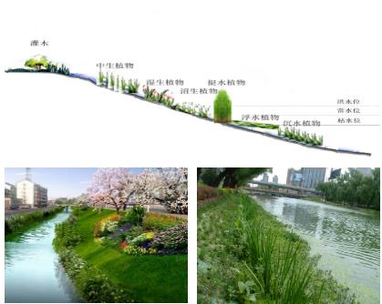 大面積黑臭水體（水塘、水渠、水庫等）特別是養(yǎng)殖廢水，如何在短時間快速進(jìn)行治理？達(dá)標(biāo)農(nóng)灌水或排放標(biāo)準(zhǔn)？