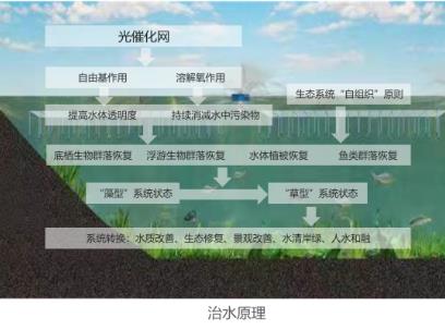pH偏高甚至超標(biāo)是水生態(tài)修復(fù)比較容易出現(xiàn)的一個(gè)問題