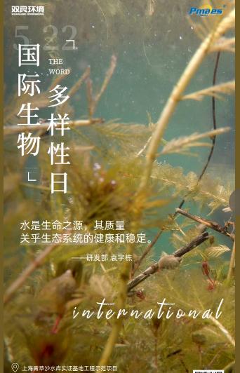 5.22生物多樣性日｜共護碧水清波，共建和諧生態(tài)！